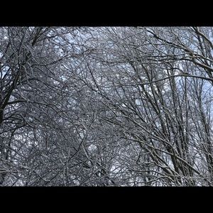 Meet your Posher, Tom